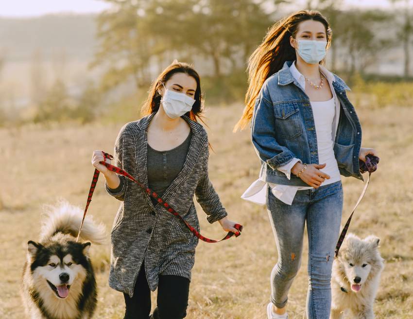 Two women wearing face masks and walking dogs
