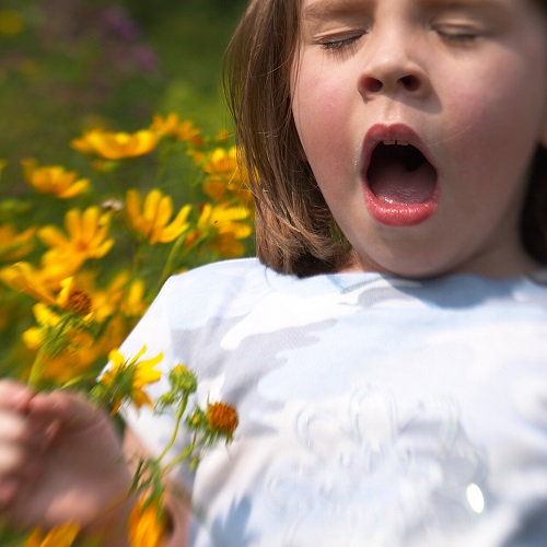 Allergy Season: Know Your Allergies to Beat Them
